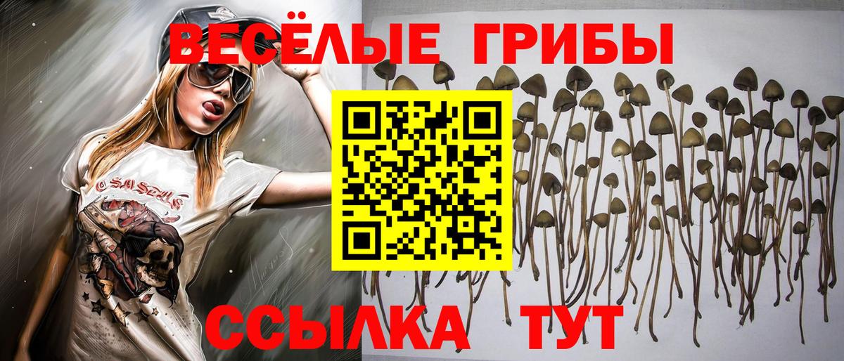 Псилоцибиновые грибы мухоморы Каспийск